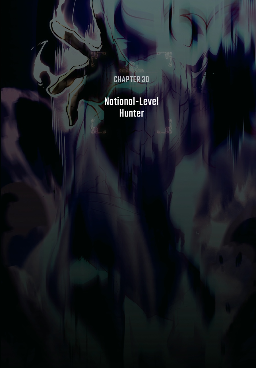 Solo Leveling